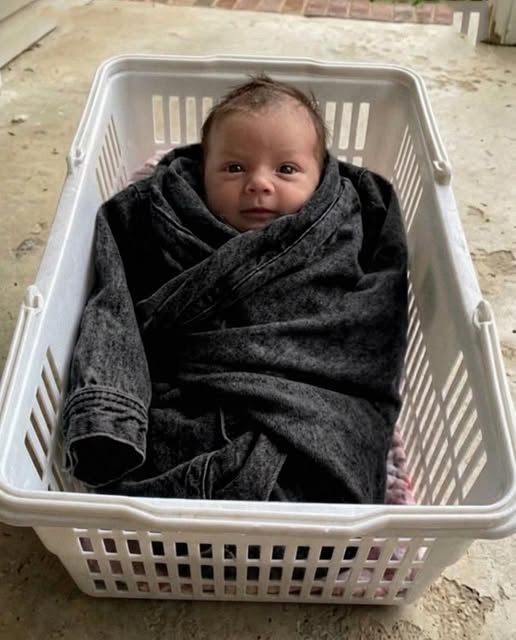 I Found a Baby Wrapped in My Missing Daughter’s Denim Jacket on My Porch – The Chilling Note I Pulled from the Pocket Made My Hands 683629062 122233546262105426 616417589283360544 n