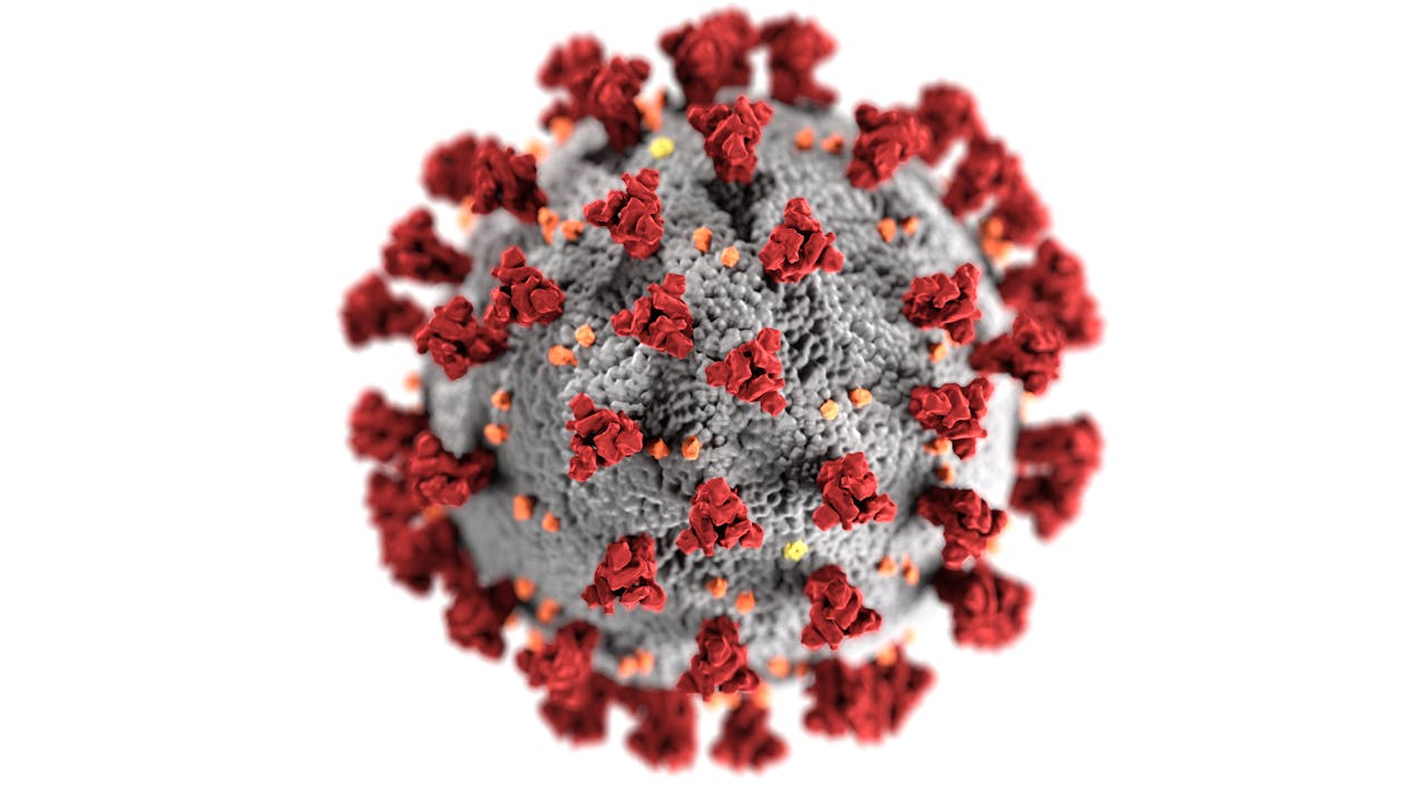 gallery-1 Detailed 3D representation of the coronavirus structure highlighting spike proteins.