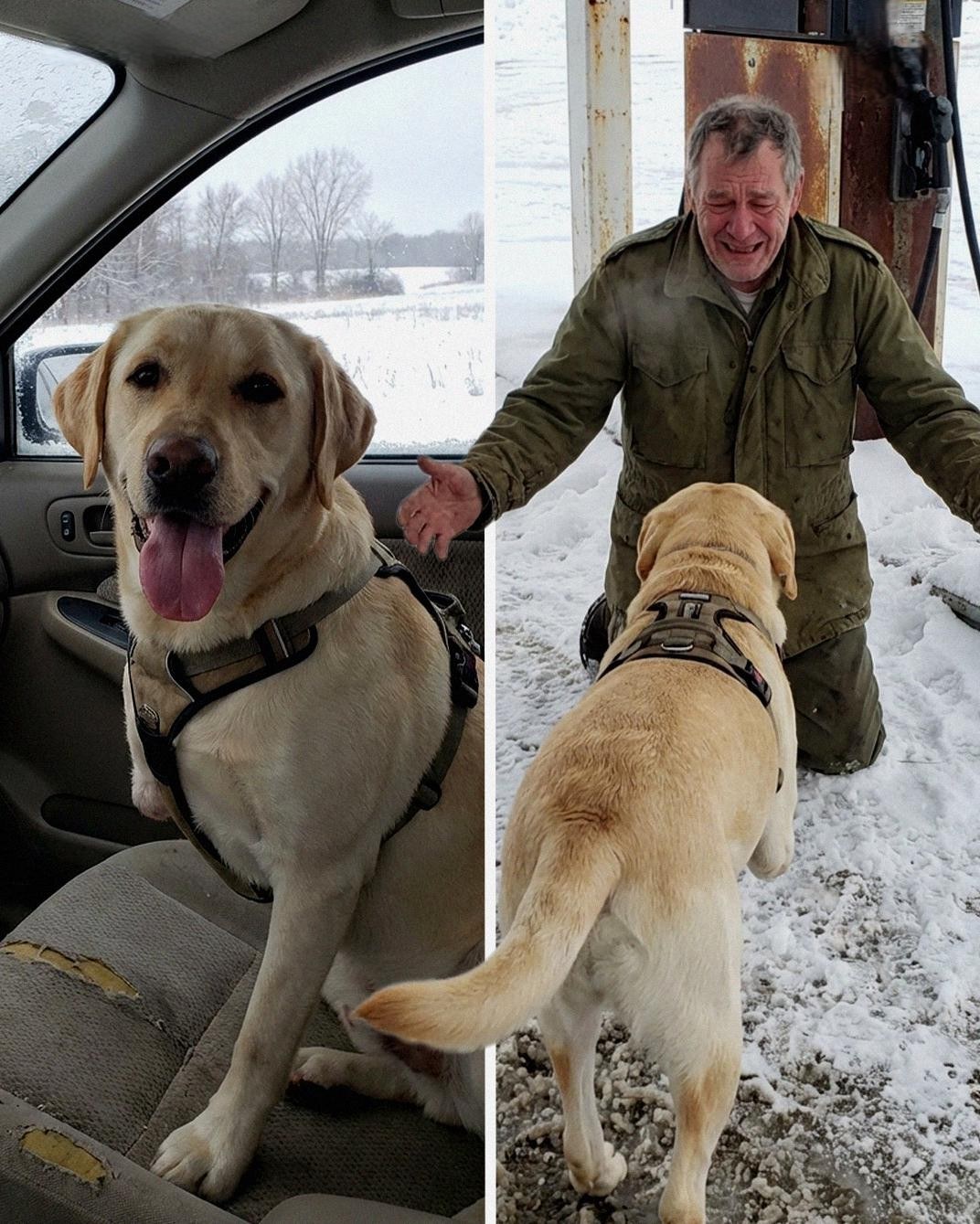 My 3-Legged Dog Recognized a Stranger Before I Did – and It Changed My Life in One Night! 619827017 122171042882789998 3727874779620481597 n