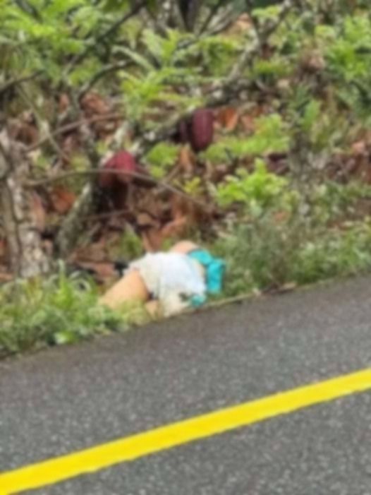 What Authorities Are Learning About a Neighborhood Incident- 682051951 1258996653106878 5680582913498103616 n