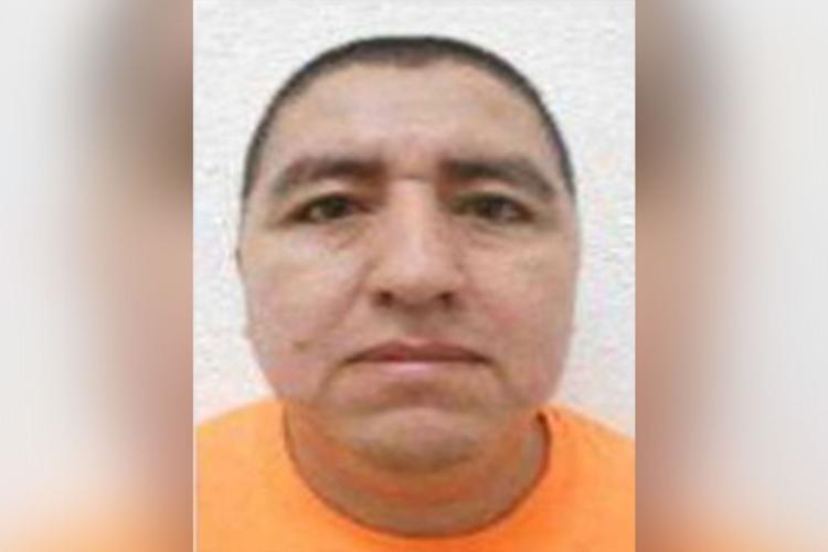 El Jardinero: What to know about ‘The Gardener,’ the Mexican cartel figure arrested in a ditch 69f215207e89c.image